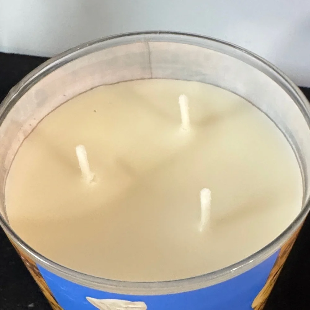 Pillsbury Chocolate Chip Cookie Dough three wick Candle 14.5 OZ